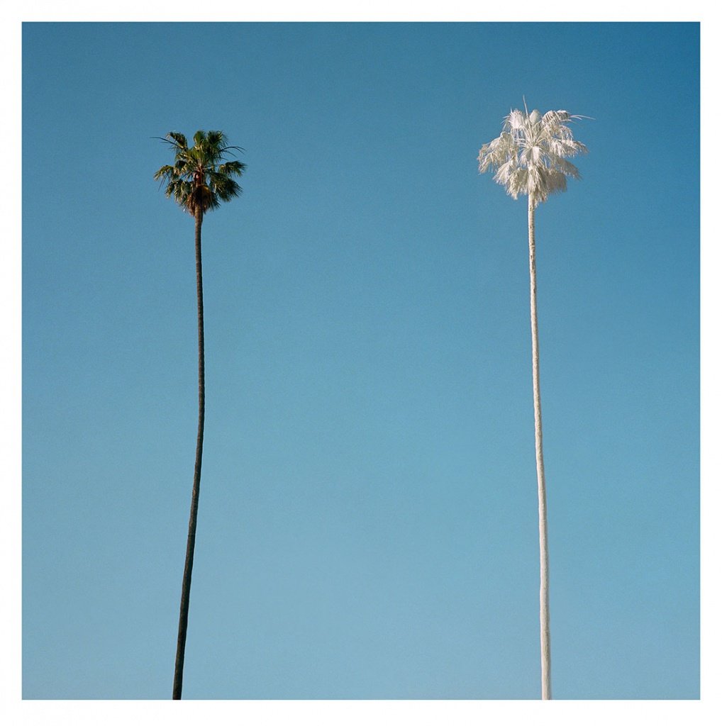 White Palm, Los Angeles