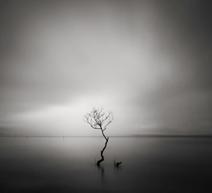 Isolation, - Minimalist Photography Awards