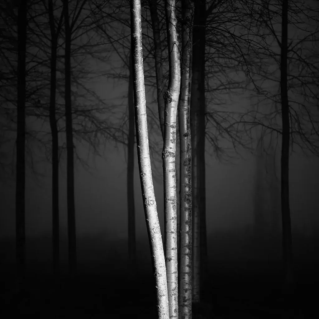 Pierre Pellegrini