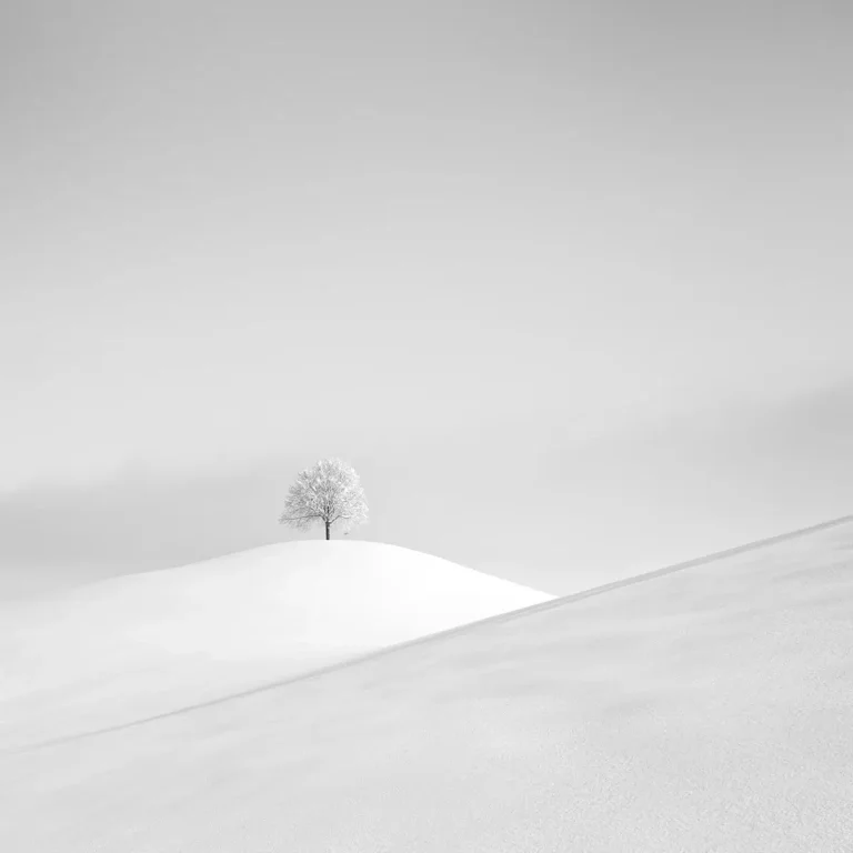 Pierre Pellegrini