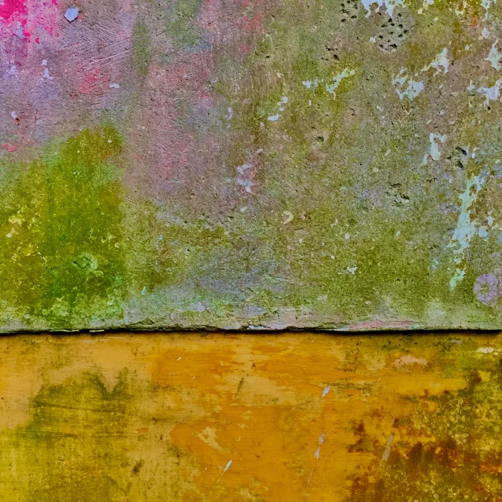 Ángel Gurría-Quintana