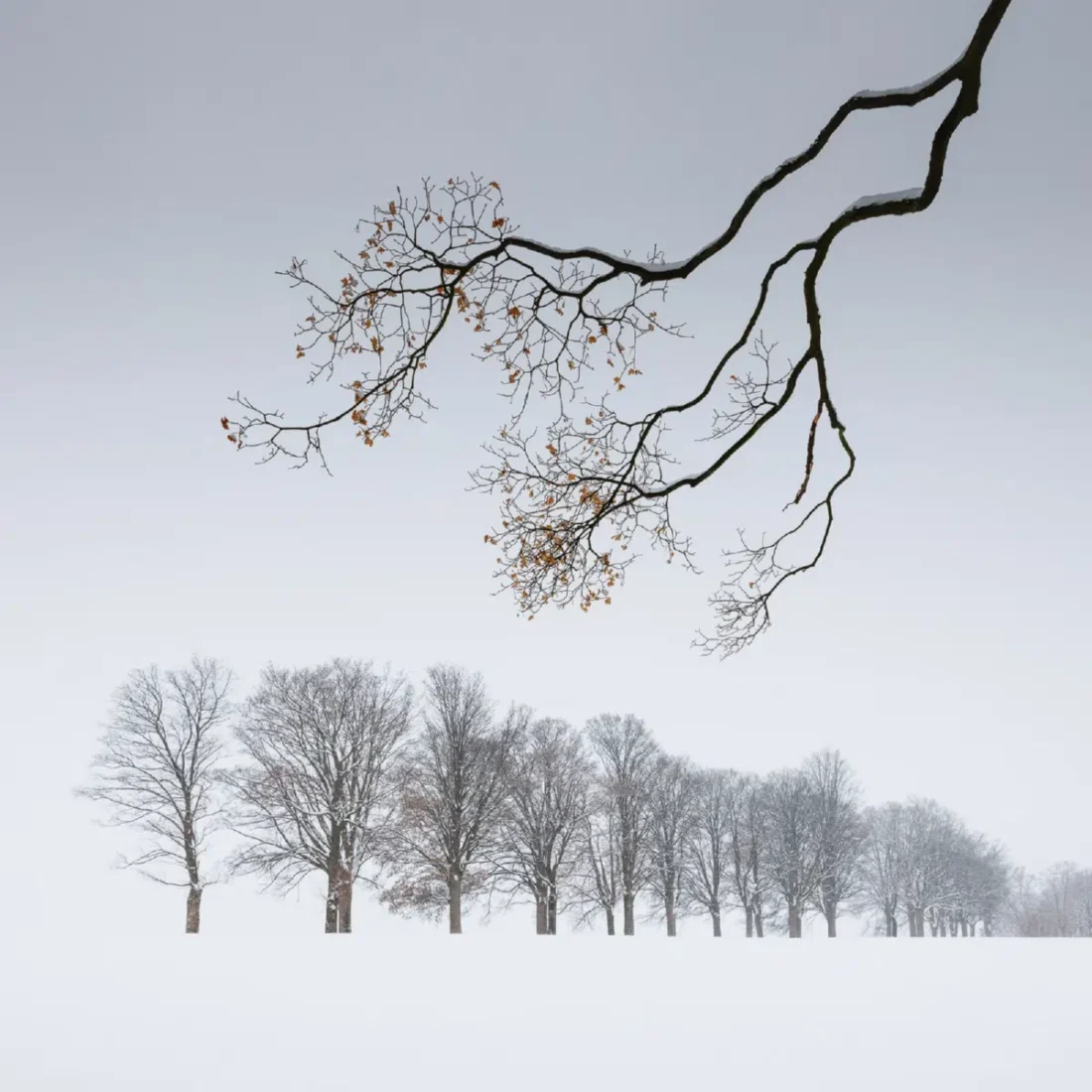 Martin Rak