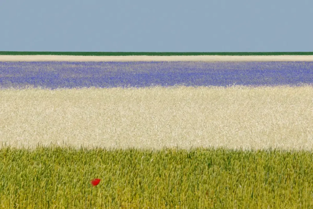 Gianfranco Bove