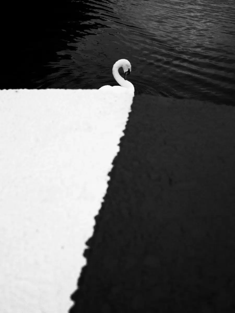 Florian Wurzinger