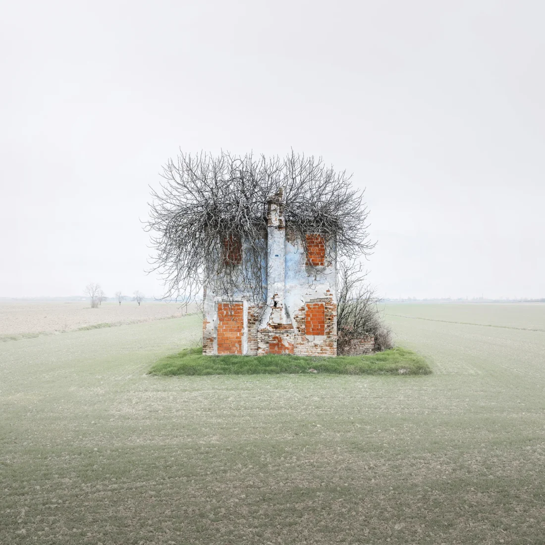 Nick Green