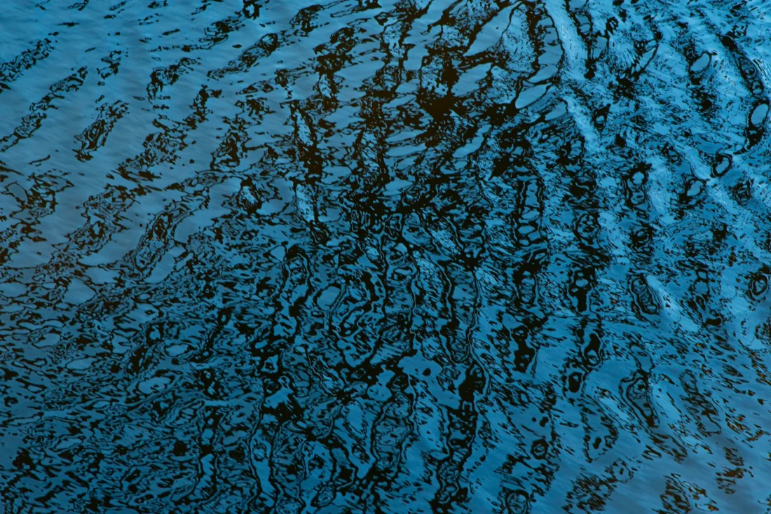 Marian Smeets