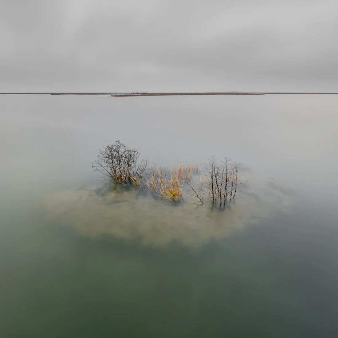 Alessandro Tagilapietra