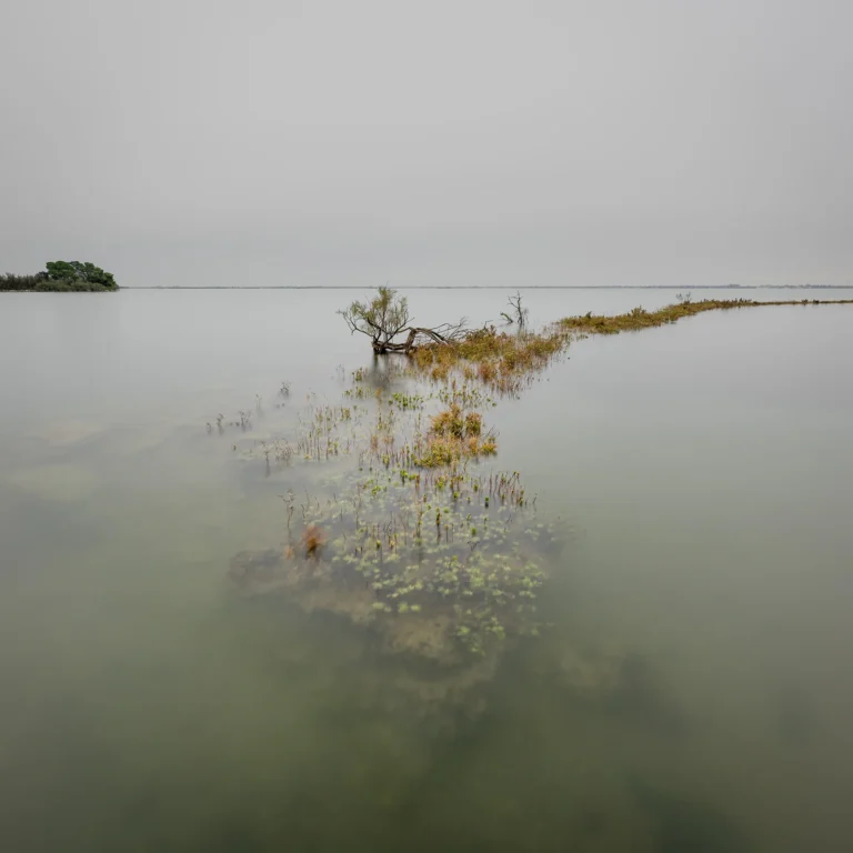 Alessandro Tagilapietra