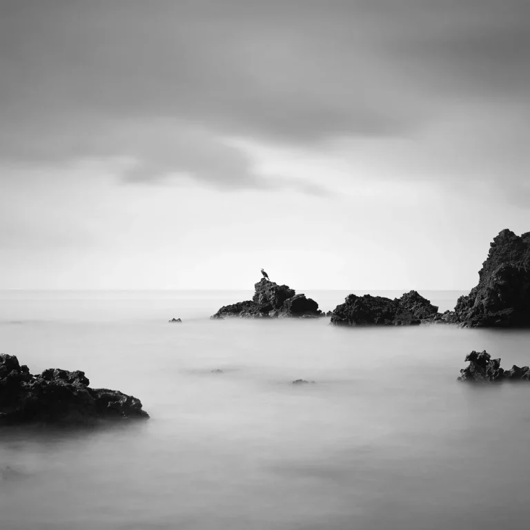 Mohammad Yousefi Manesh