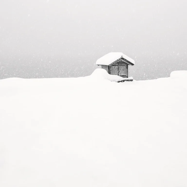 Amanda Carter-Savigear