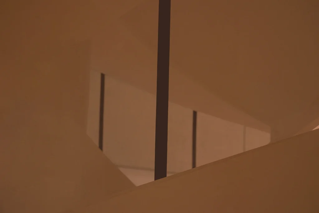 Paola Francesca Barone