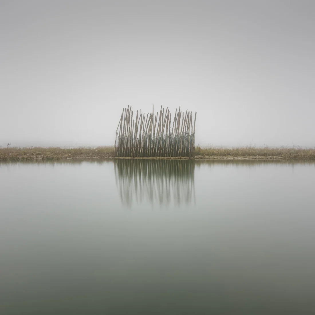 Alessandro Tagliapietra