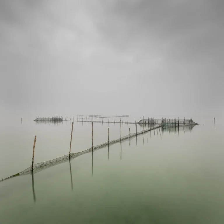 Alessandro Tagliapietra