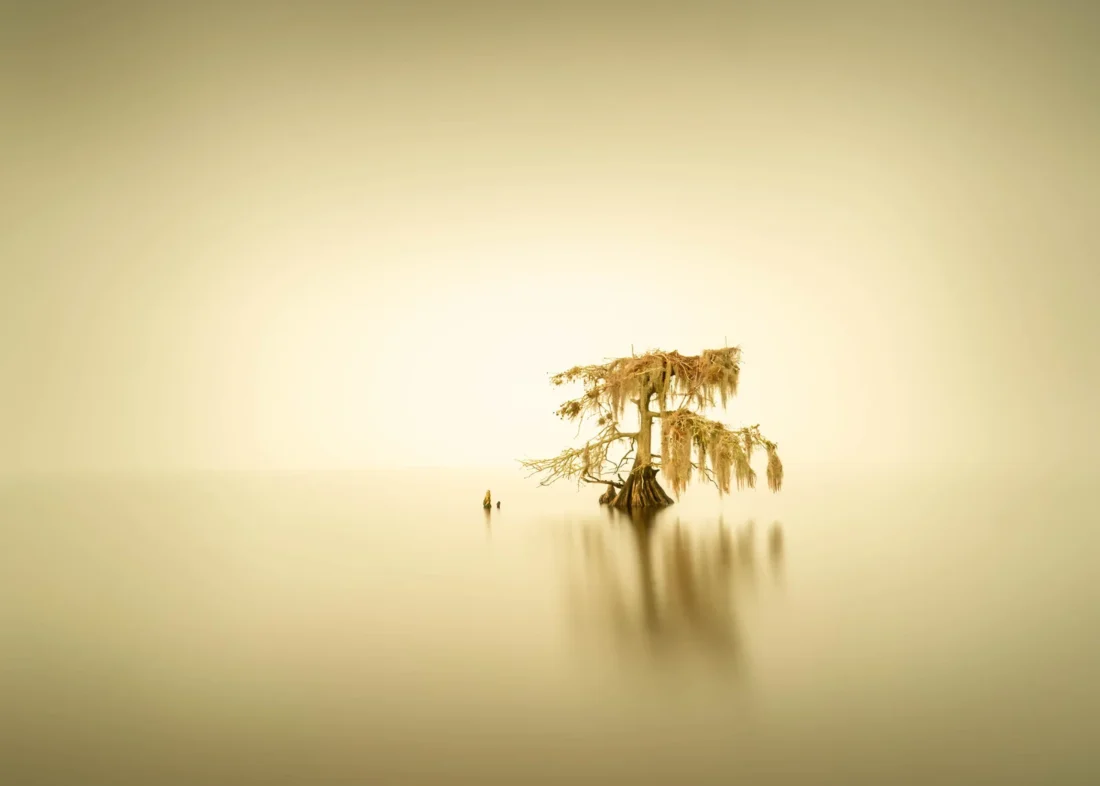 Russell Satterthwaite