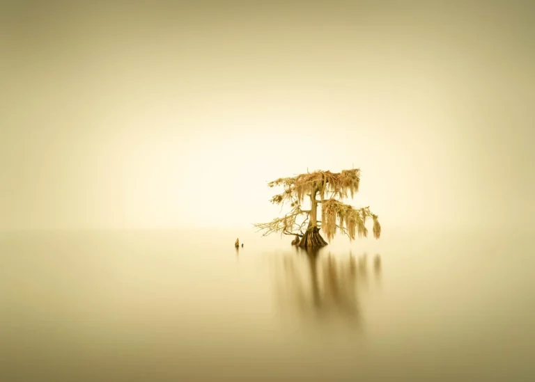 Russell Satterthwaite