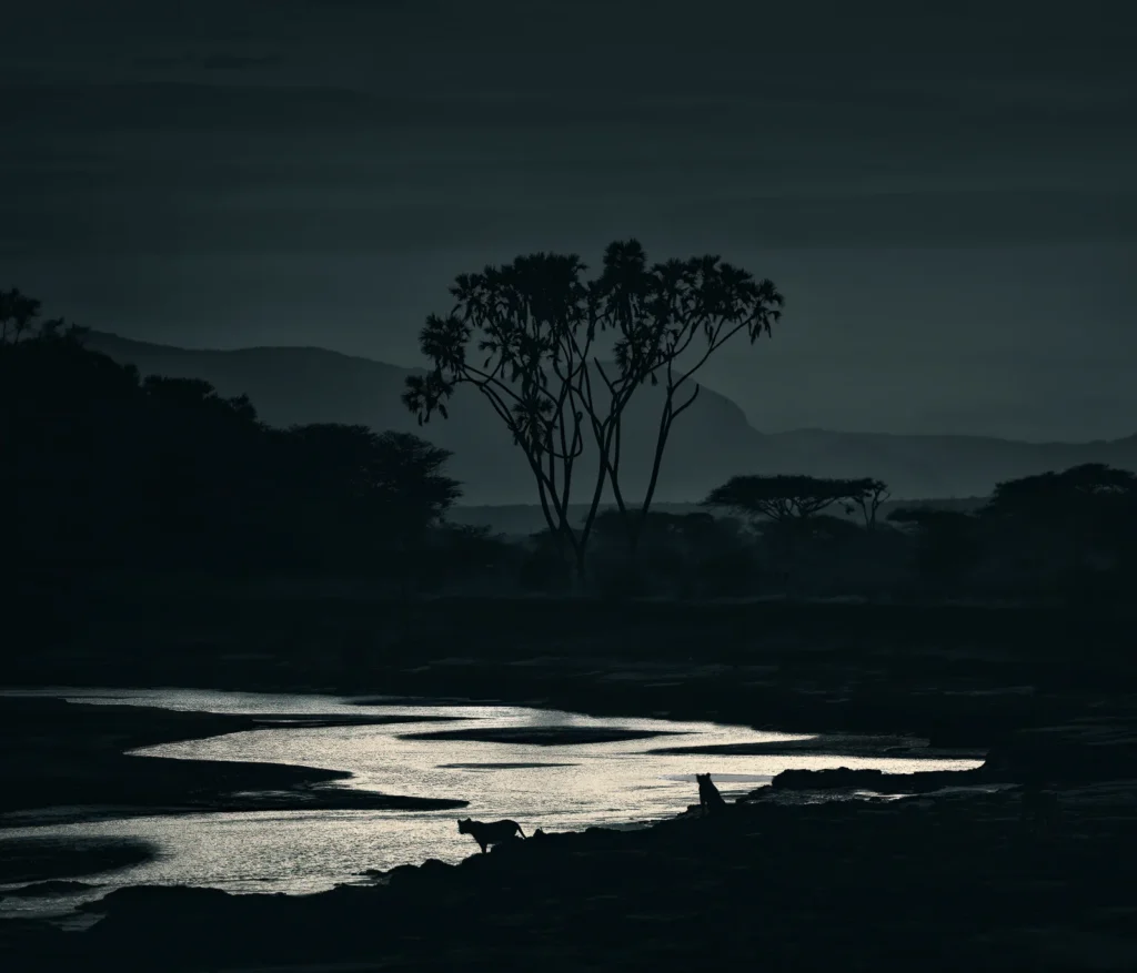 Elizabeth Yicheng Shen