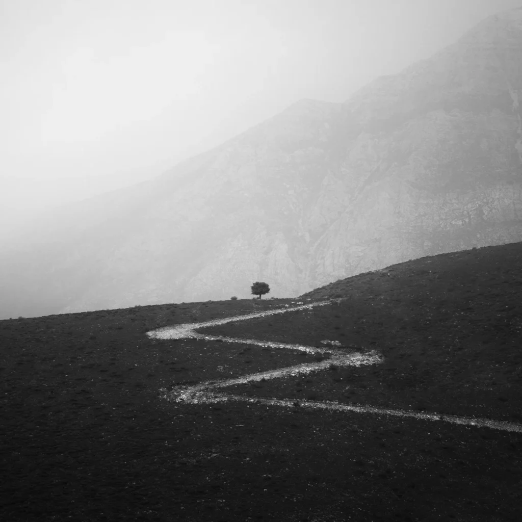 Mohammad Yousefi Manesh