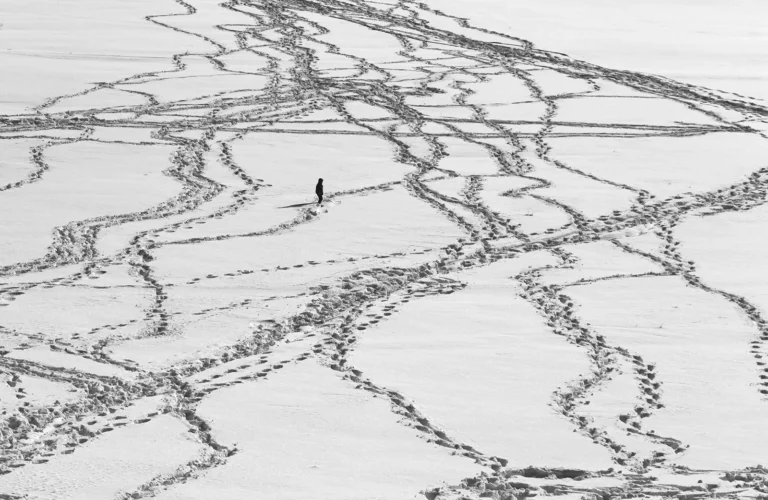 Shahin Ebrahimi manie