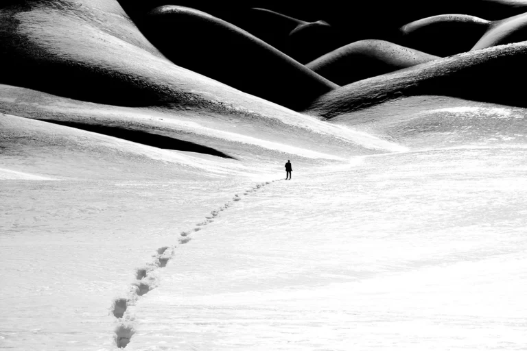 Shahin Ebrahimi manie