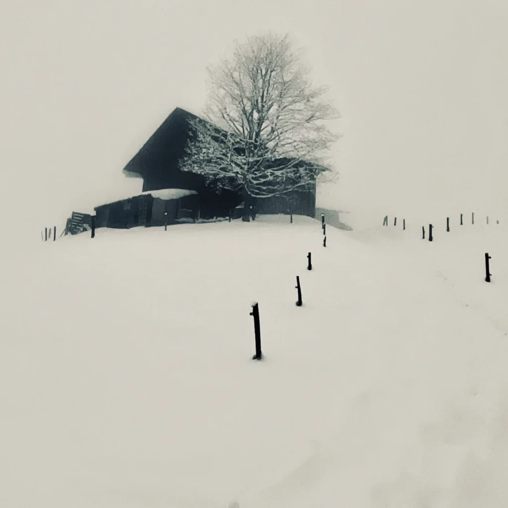 Adrianna Muffat Jeandet Wojcik