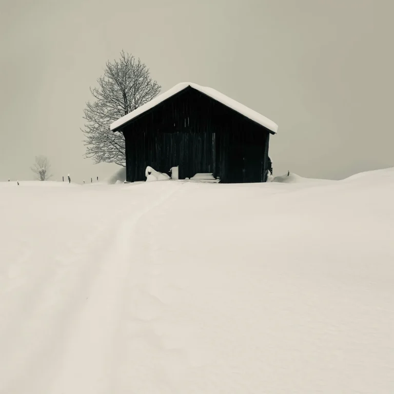 Adrianna Muffat Jeandet Wojcik