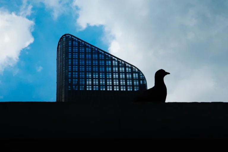 Julachart Pleansanit