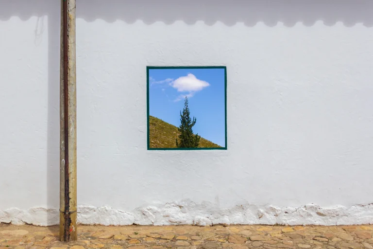 Dario Triviño López