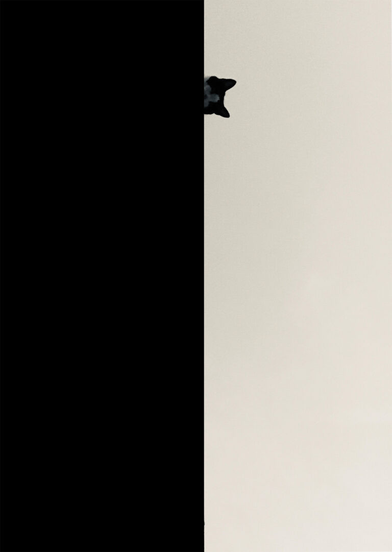 Minimal Spaces