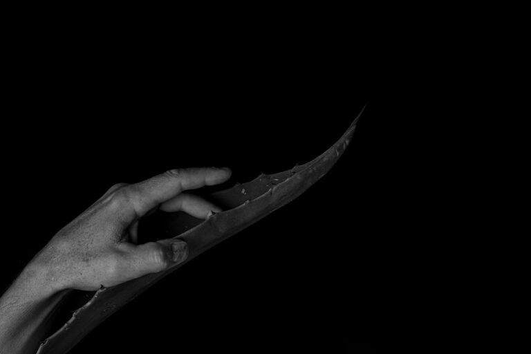 Between Skin and Thorn