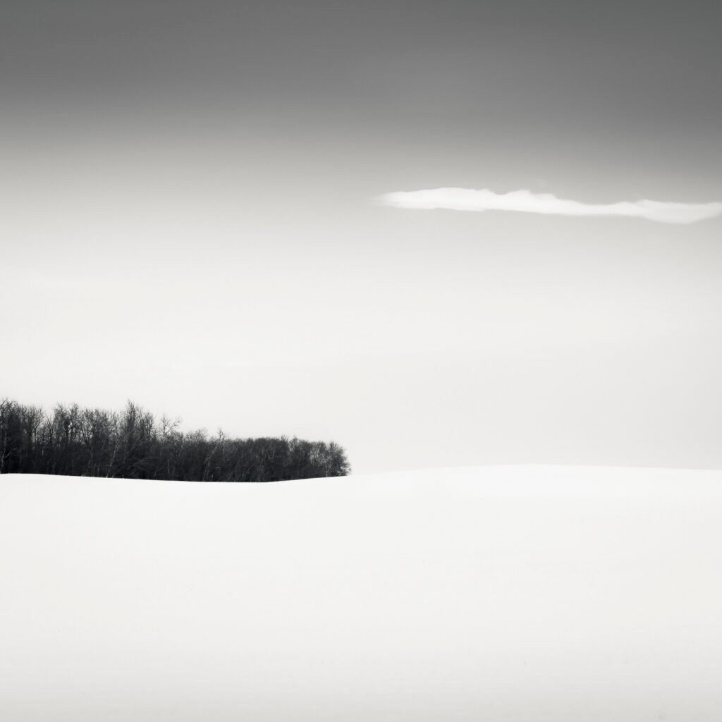 Where stillness gathers