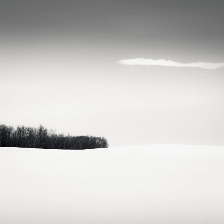 Where stillness gathers
