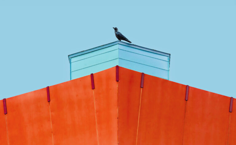 Redeeming the Scorned Crow