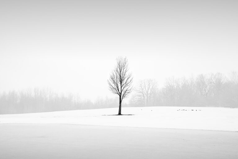 The tree