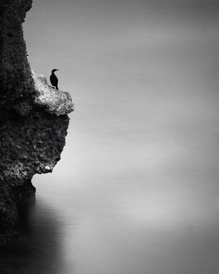 Lone Sentinel