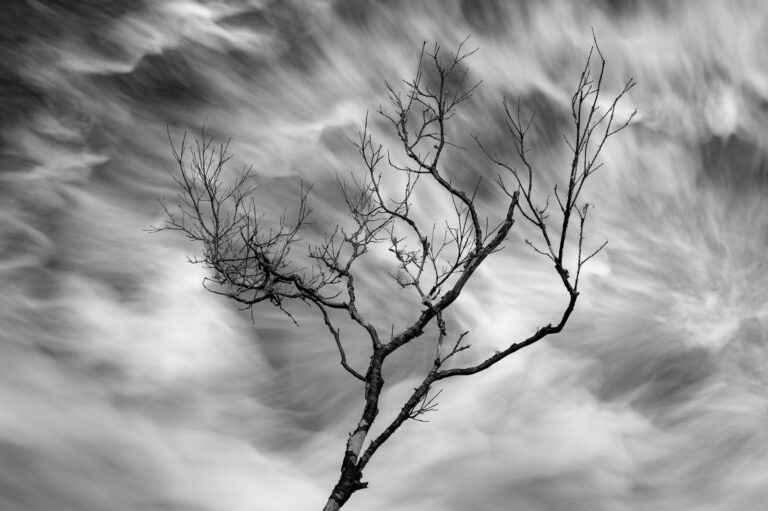 Tamed Entropy