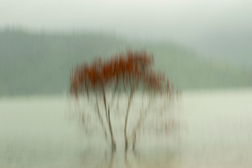 Featured Entry