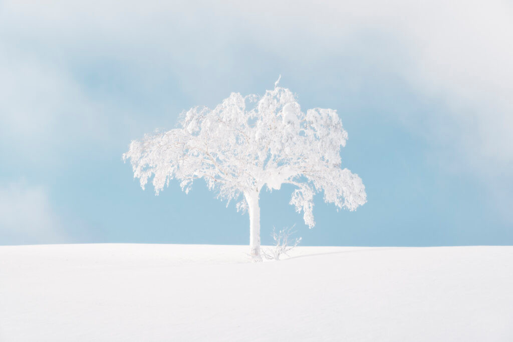 Featured Entry