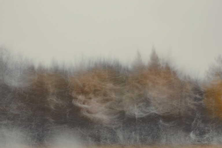 First Snow