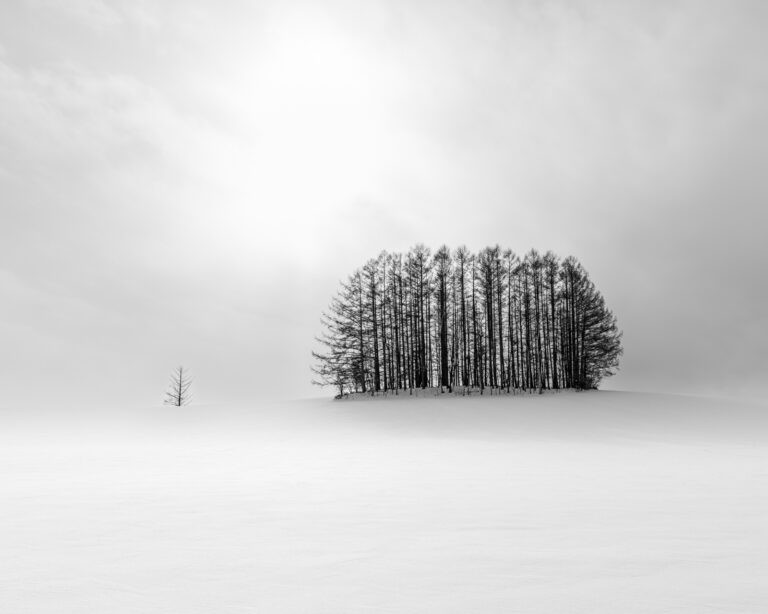 Hokkaido in winter