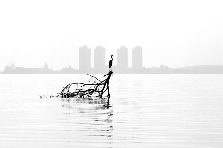Quiet morning
