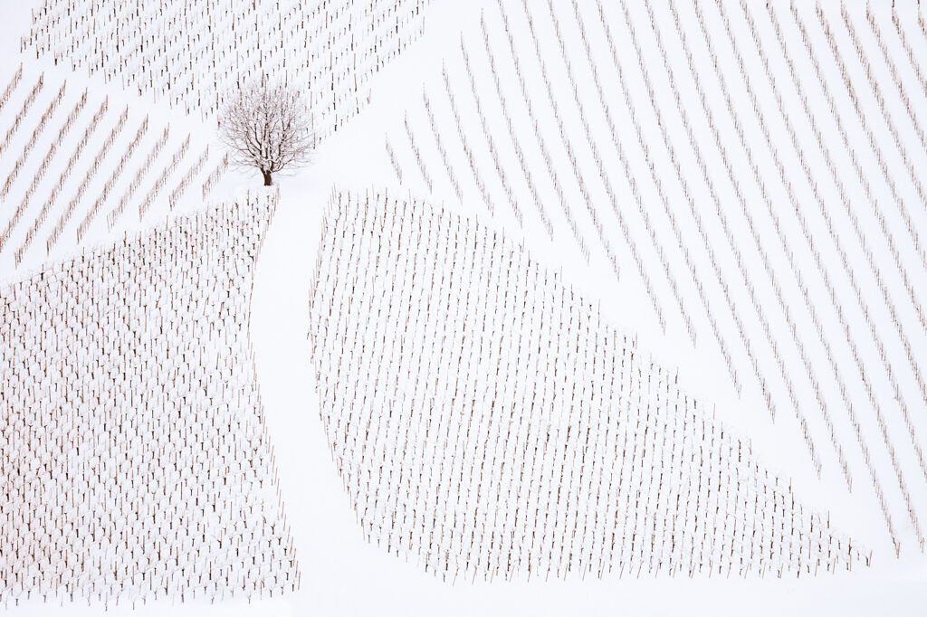 All roads lead to the goal