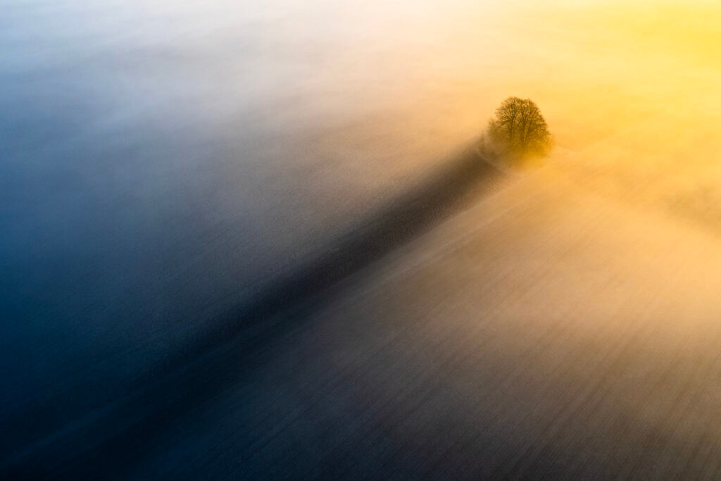 The Long Shadow
