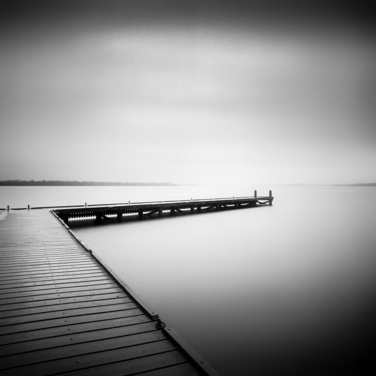 The Silent Palette I