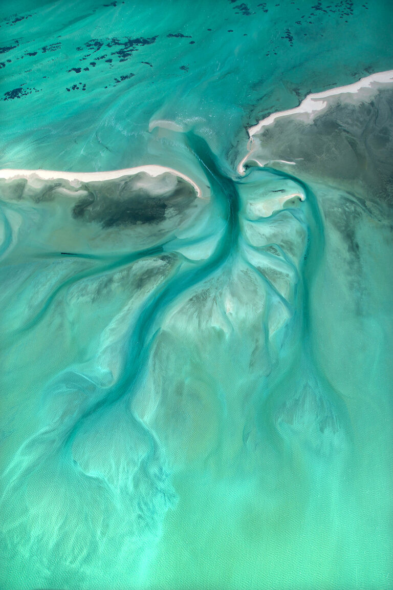 Tidal Tree