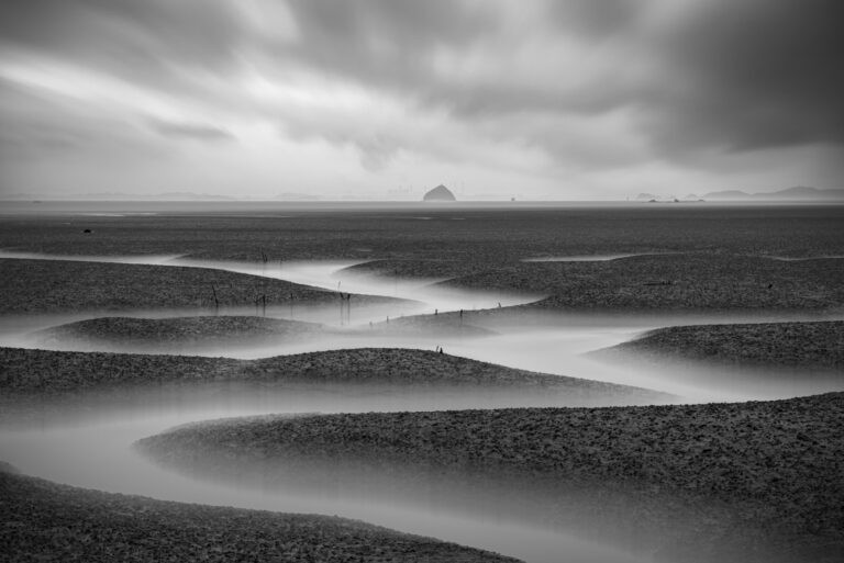 Tidal_flat