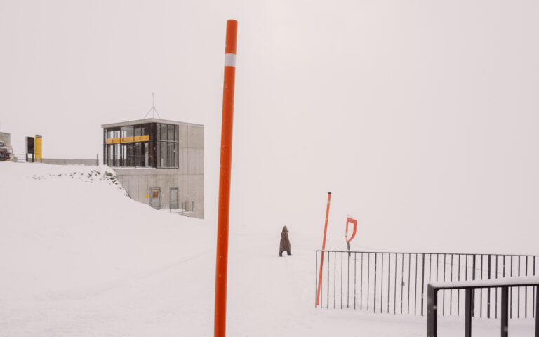 Winter Canvas