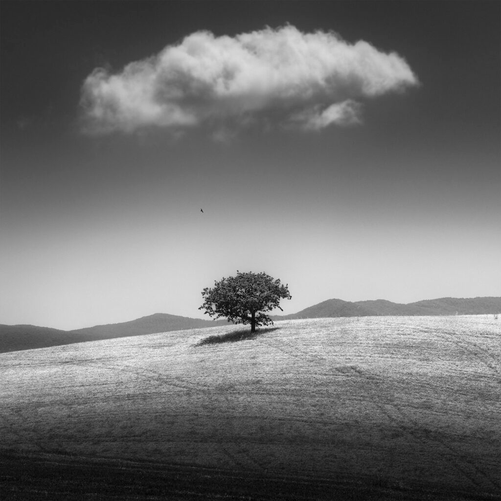 When the Sky Forgot to Fall