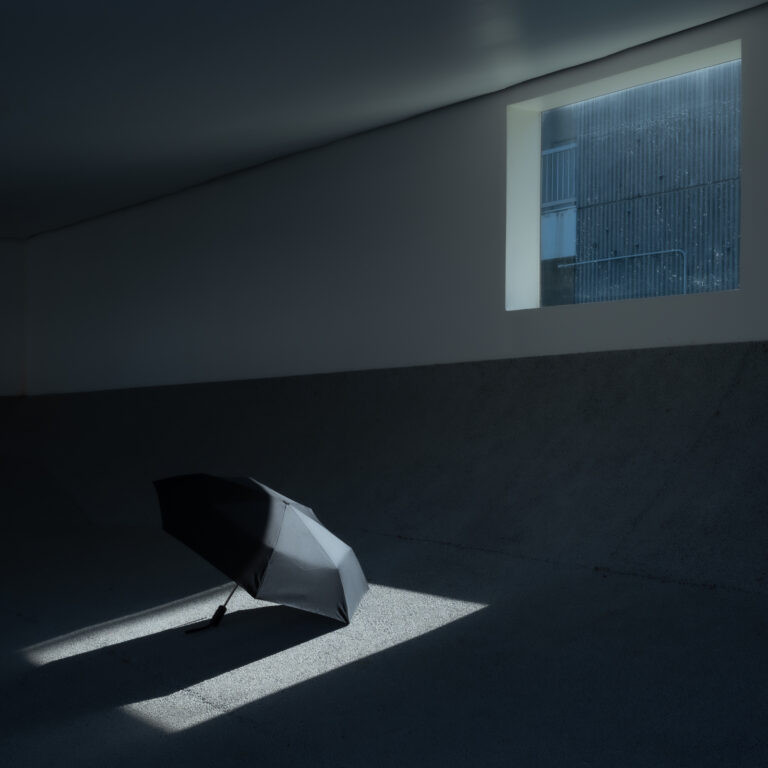 the sunlight from the window