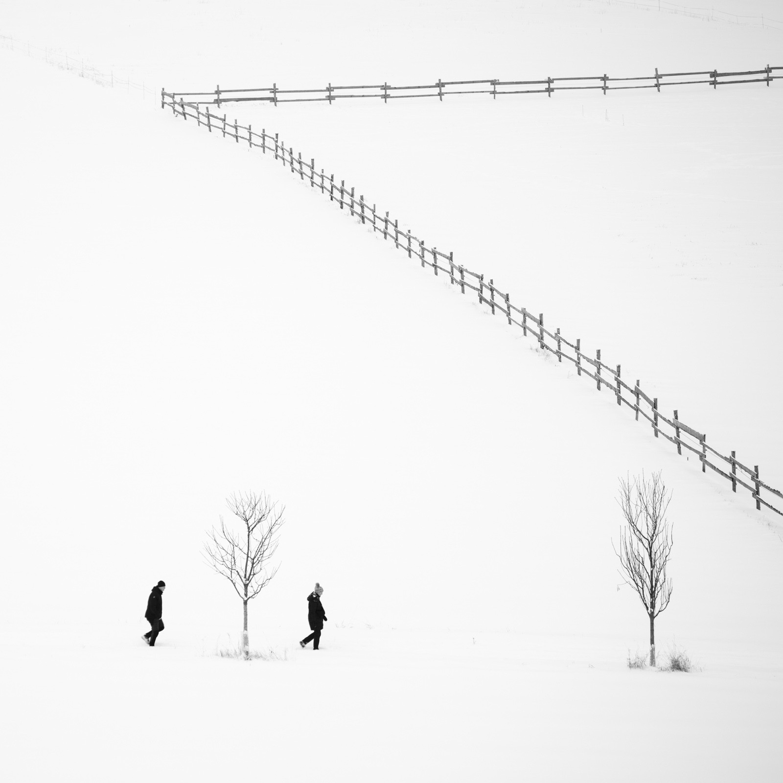 2 people and the trees
