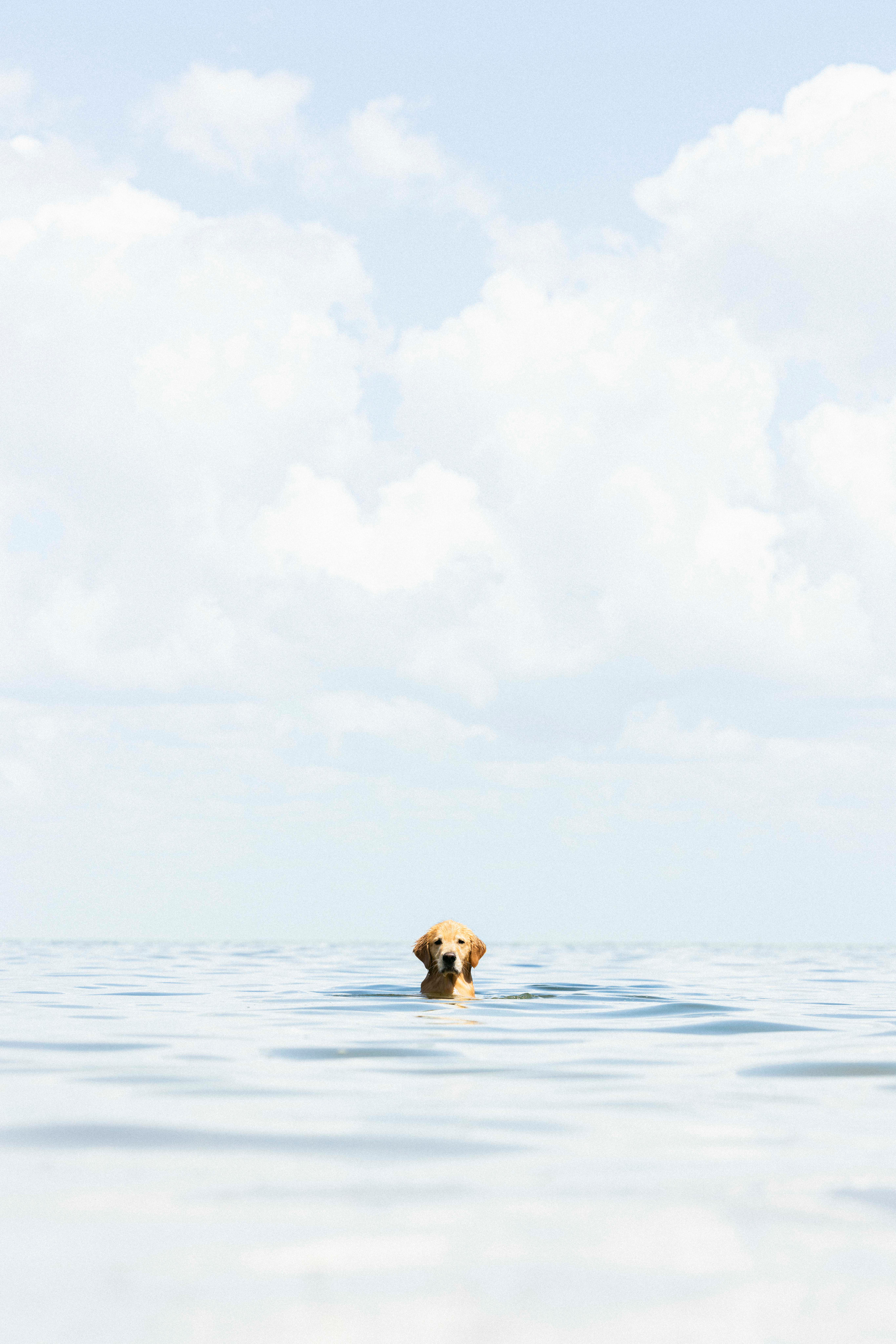 Featured Entry